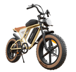 Jansno X70 Electric Bike – Long Range 48V 37Ah Dual Battery Bicycle for Delivery Riders